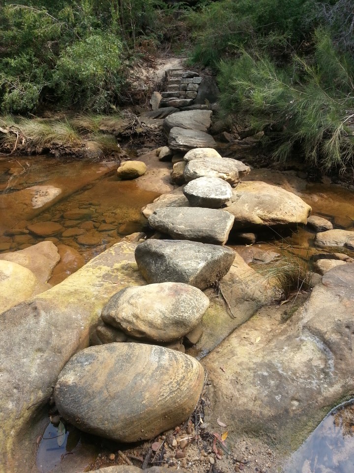 stepping stone crossing, Garigal National Park